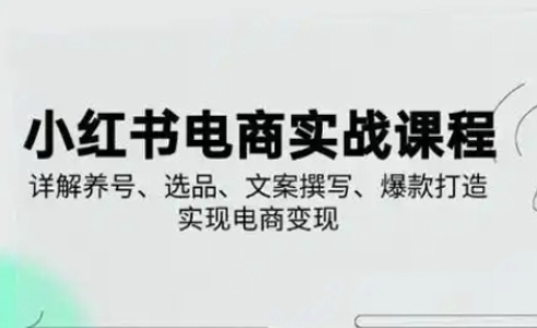 小红书从0-1实操课(2023-2025),详解养号、选品、文案撰写、爆款打造实现电商变现-洪烁网创