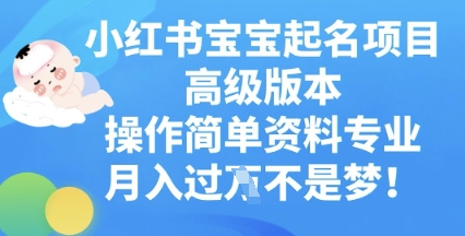 小红书宝宝起名项目高级版本,操作简单,资料专业,月入过W-洪烁网创
