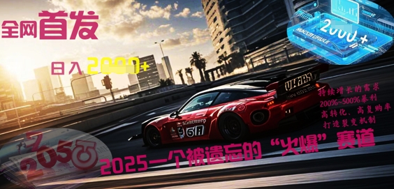 全网首发:2025一个被遗忘的“火爆”赛道轻松日入多张-洪烁网创