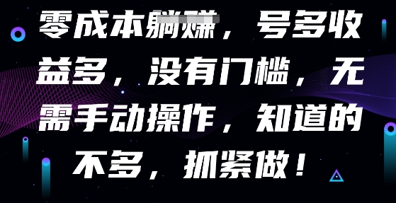 零成本全自动,号多收益多,没有门槛,无需手动-洪烁网创