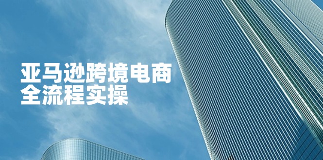 （14252期）亚马逊跨境电商全流程实操，教你从零开始，掌握店铺运营与广告技巧-洪烁网创