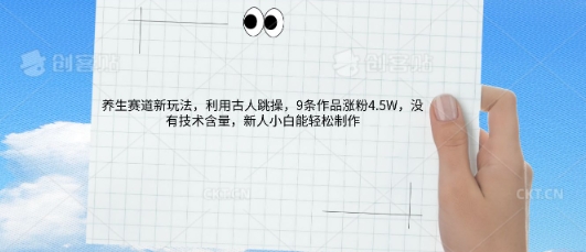 AI养生赛道新玩法，10条作品涨粉5.2W，操作简单，新人小白能轻松制作-洪烁网创