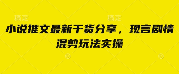 小说推文最新干货分享，现言剧情混剪玩法实操-洪烁网创