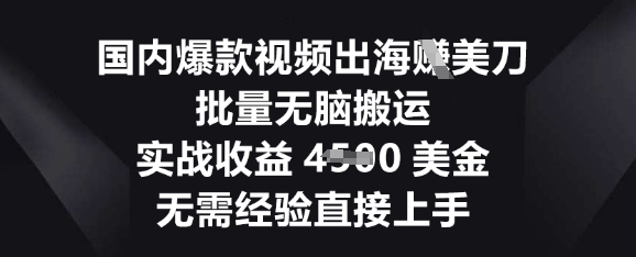 国内爆款视频出海挣美刀,批量无脑搬运,实战收益4.5k,无需经验直接上手-洪烁网创