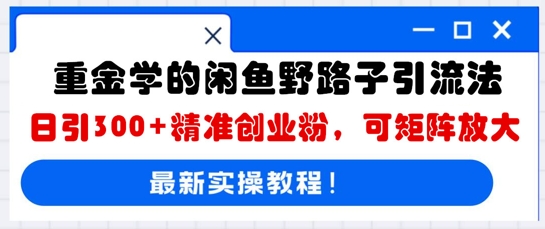 重金学的闲鱼野路子引流法,日引300+精准创业粉,可矩阵放大-洪烁网创