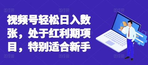 视频号轻松日入数张，处于红利期项目，特别适合新手-洪烁网创