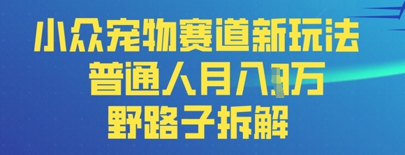 小众宠物赛道新玩法，普通人月入过1W的野路子拆解-洪烁网创
