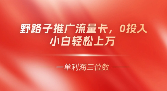 0门槛推广流量卡，一单收益上百，0投入，小白月入过W-洪烁网创