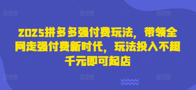 2025拼多多强付费玩法,带领全网走强付费新时代,玩法投入不超千元即可起店-洪烁网创