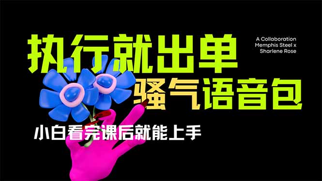 (14170期)爆火全网的开车导航骚气语音包,只要执行就出单,小白看完课程就能实操...-洪烁网创