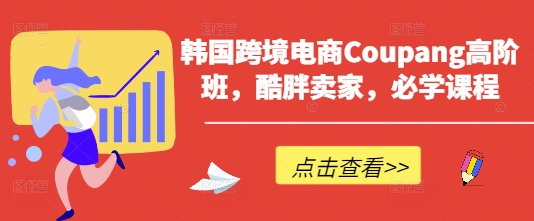 韩国跨境电商Coupang高阶班，酷胖卖家，必学课程-洪烁网创
